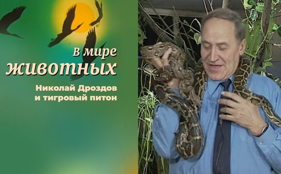 Новости из мира животных