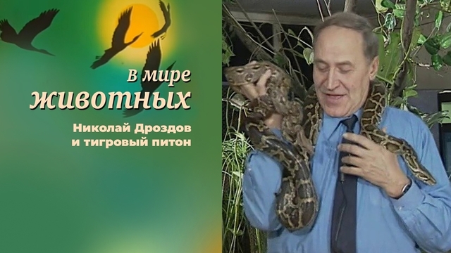 Новости из мира животных